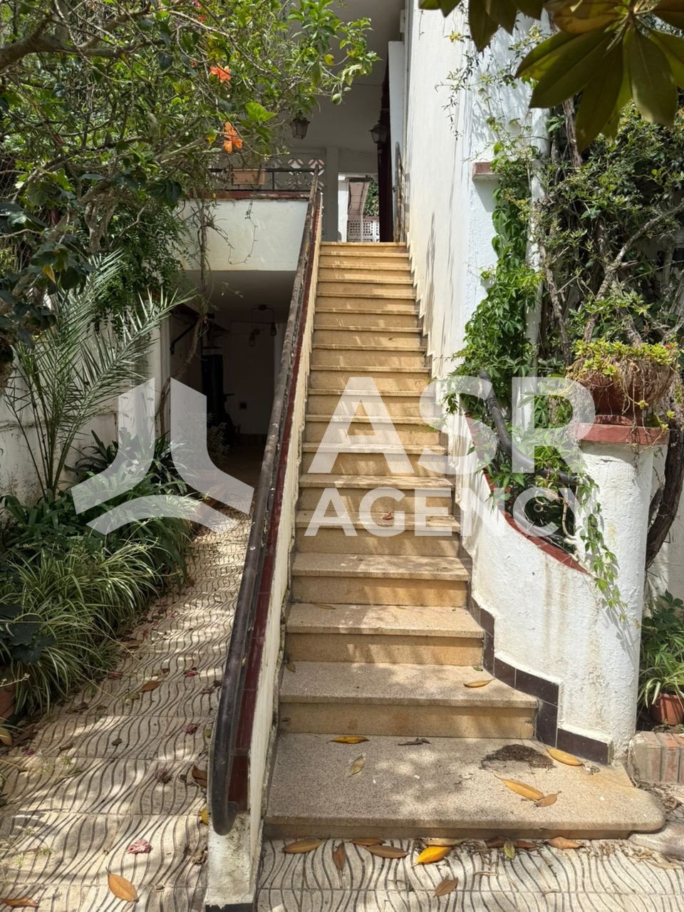 WhatsApp-Image-2025-08-31-a-13.55.06_37e9763c