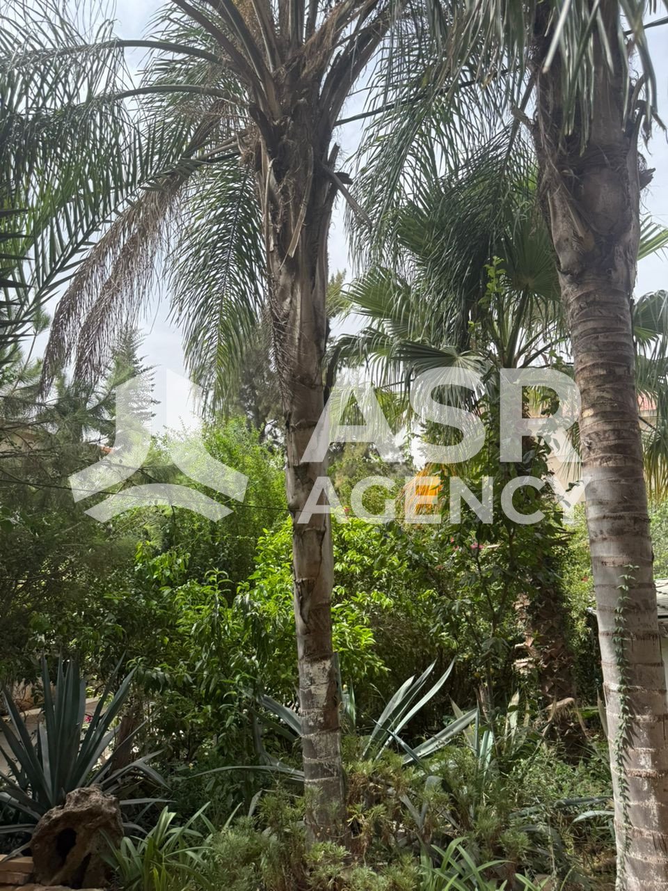 WhatsApp-Image-2025-08-31-a-13.18.47_102a4074