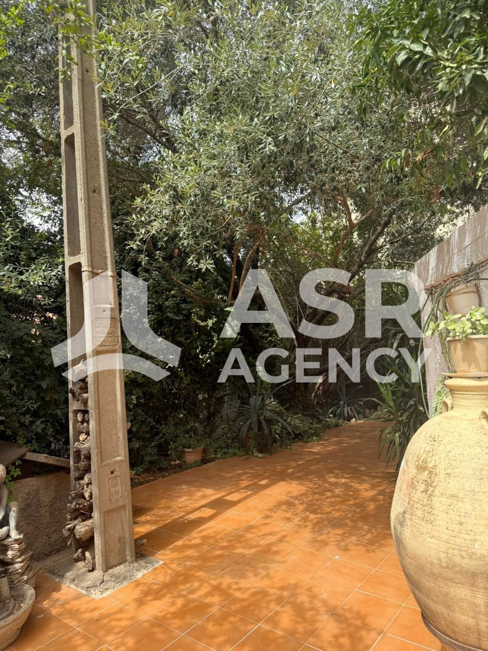 WhatsApp-Image-2025-08-31-a-13.18.48_e3be9cec