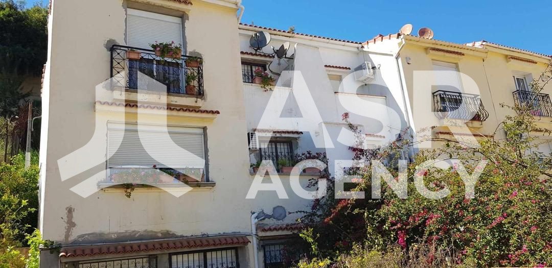 WhatsApp-Image-2025-09-06-a-12.21.04_4e132574