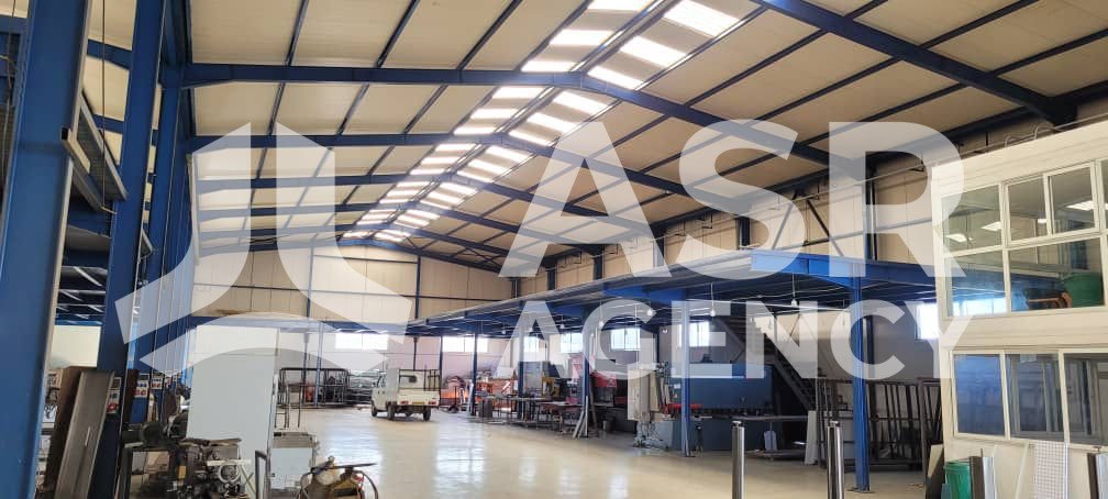 WhatsApp-Image-2025-09-06-a-12.43.52_77e8d9d3