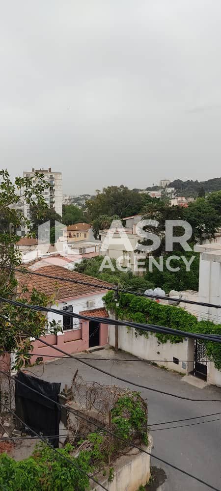 WhatsApp-Image-2025-09-06-a-13.22.02_1e5e73f9