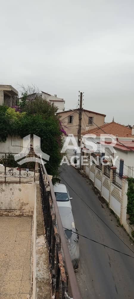 WhatsApp-Image-2025-09-06-a-13.22.02_52652877