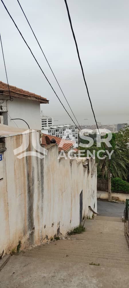 WhatsApp-Image-2025-09-06-a-13.22.02_72185698