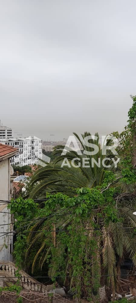 WhatsApp-Image-2025-09-06-a-13.22.02_b46e6f38