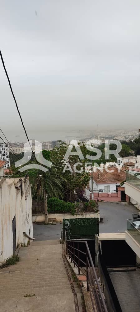 WhatsApp-Image-2025-09-06-a-13.22.02_b7d9edb1