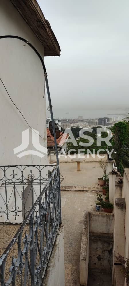 WhatsApp-Image-2025-09-06-a-13.22.02_c7f7d0d4