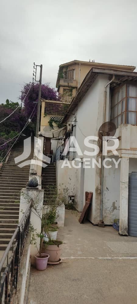 WhatsApp-Image-2025-09-06-a-13.22.02_da22875c