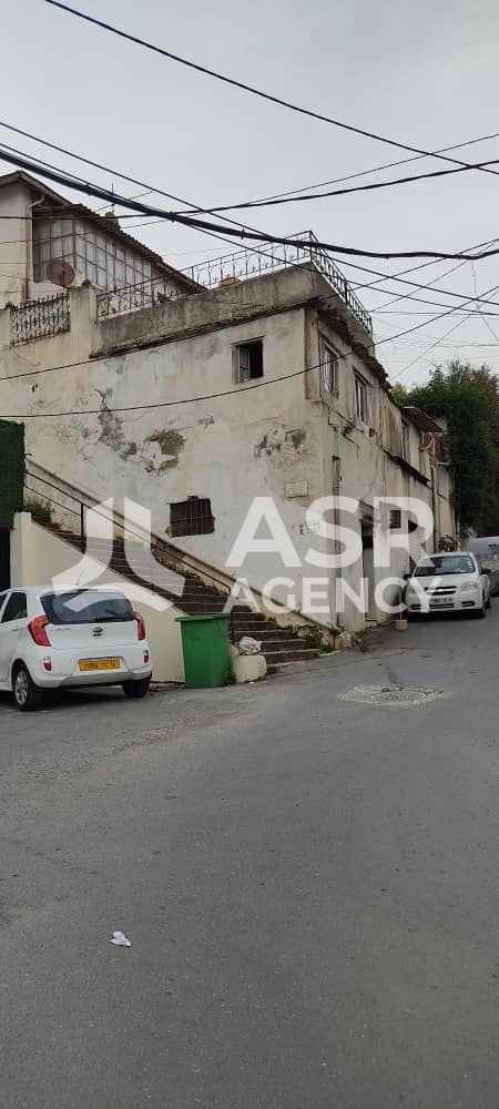 WhatsApp-Image-2025-09-06-a-13.22.04_a60b9054