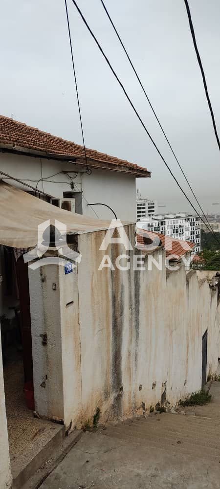 WhatsApp-Image-2025-09-06-a-13.22.04_b741233e