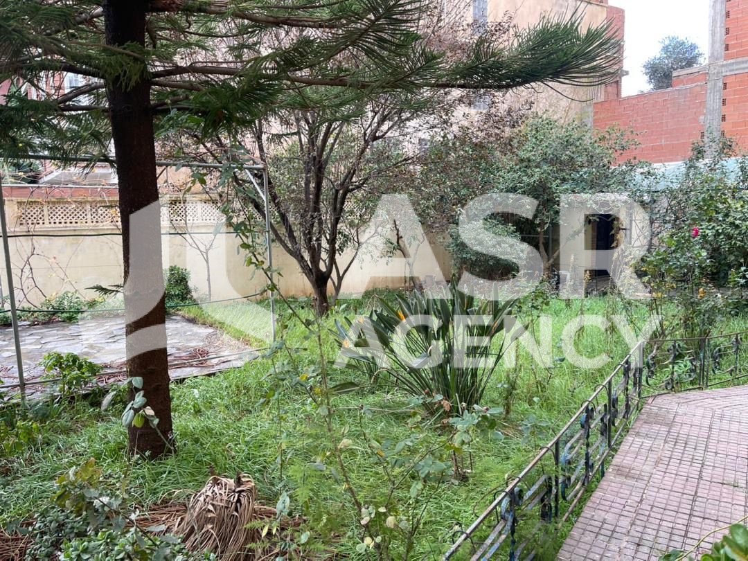 WhatsApp-Image-2025-10-09-a-17.17.39_898e3510