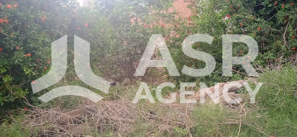 WhatsApp-Image-2025-10-09-a-17.28.01_11bbe13a