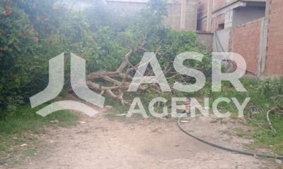 WhatsApp-Image-2025-10-09-a-17.28.01_7771138d