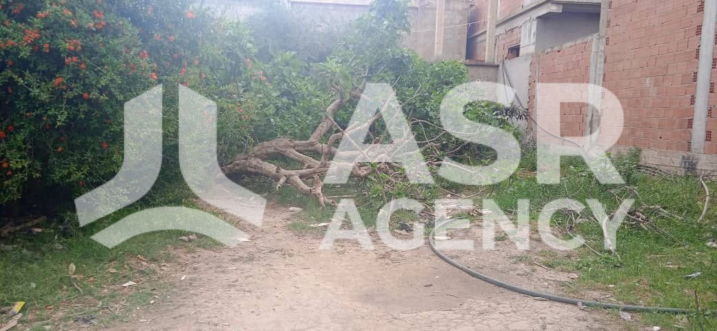 WhatsApp-Image-2025-10-09-a-17.28.01_7771138d